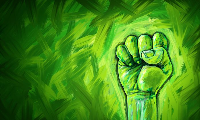 eko, ekolodzy, protesty, zieloni, aktywiści